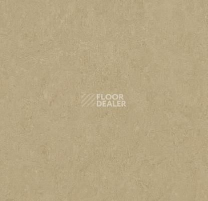 Линолеум Forbo Marmoleum Marbled Fresco 3890-389035 oat фото 1 | FLOORDEALER